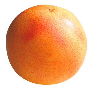 Grapefruit PNG-15247